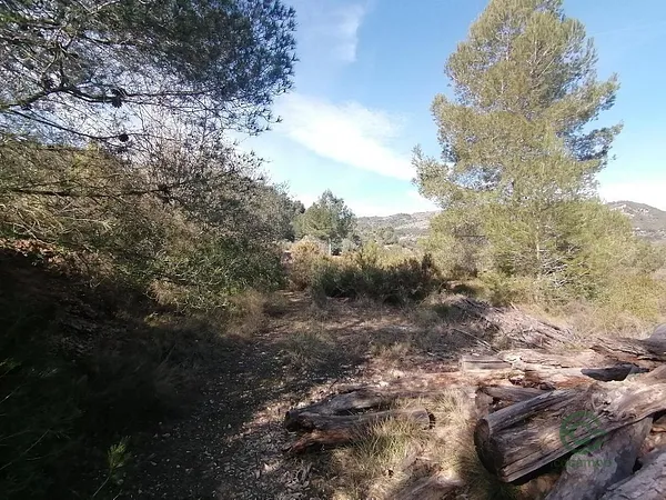 Finca rústica de 0,1244 ha en venta en Borriol, Castellon