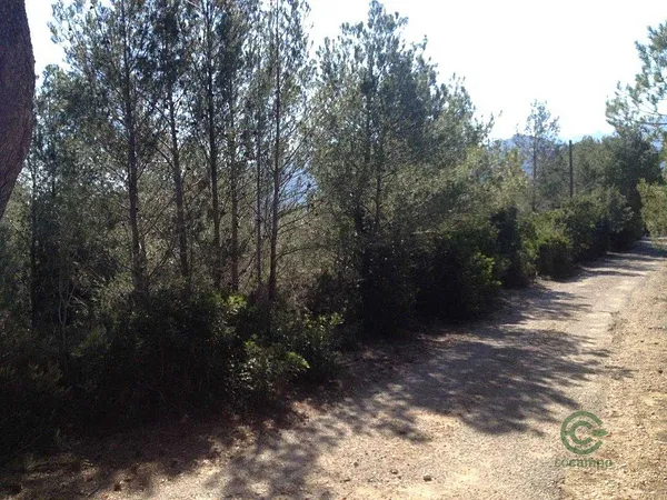 Spot image