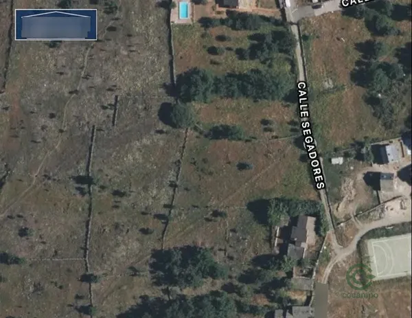 Spot image