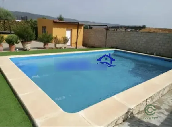 Spot image