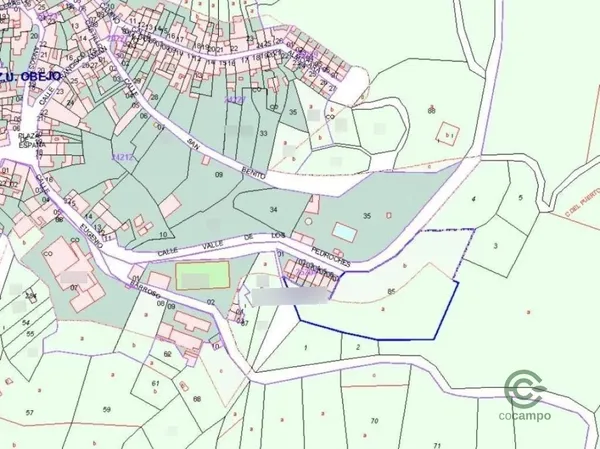 Spot image