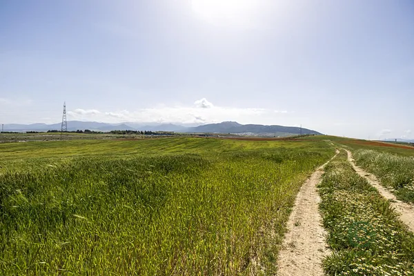 Finca agrícola de 5,8495 ha en venta en Otura, Granada