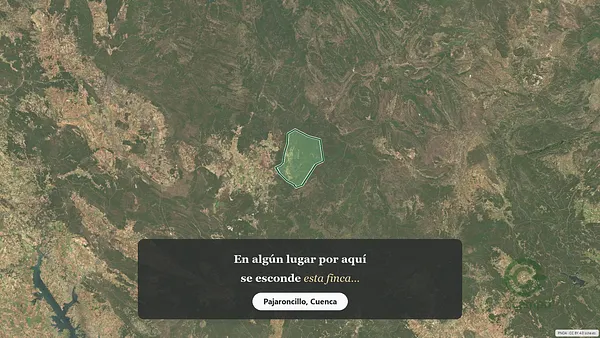Spot image