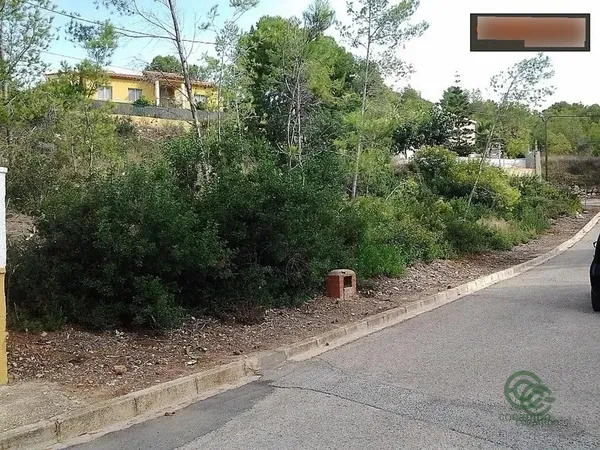 Spot image