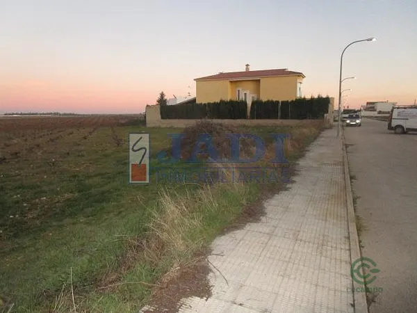 Spot image