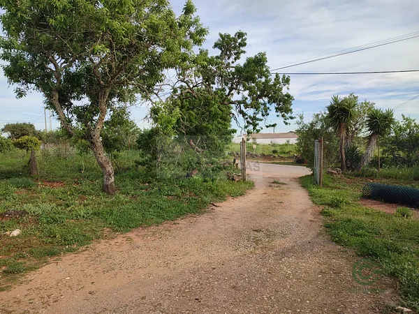 Spot image