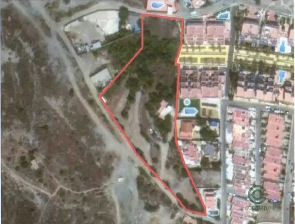 Spot image