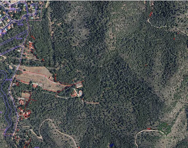 Spot image