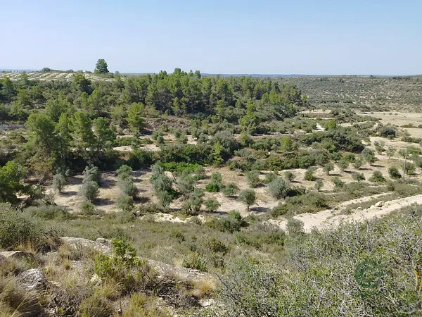 Finca agrícola de 1,04 ha en venta en Castelldans, Lleida