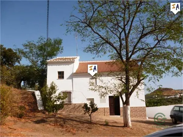 Spot image