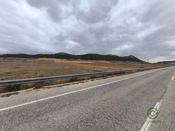 Spot image