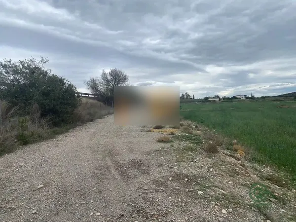 Spot image