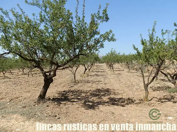 Finca rústica de 60 ha en venta en Alicante