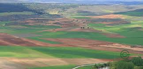 Finca agrícola de 60 ha en venta en Zaragoza