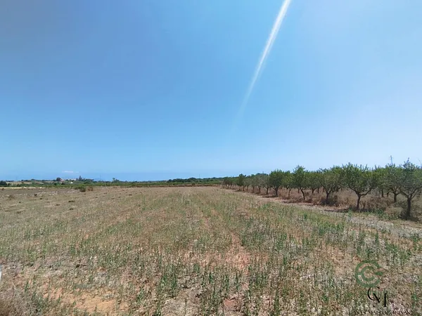 Spot image