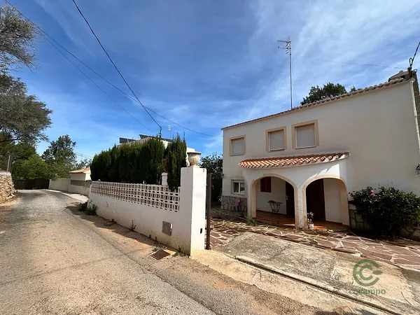 Spot image