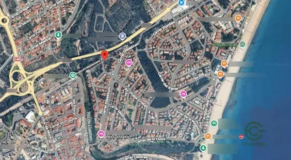 Spot image