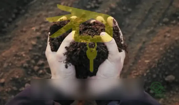 Spot image