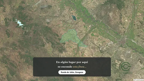 Spot image