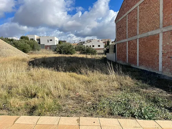 Spot image