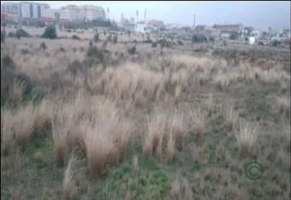 Spot image