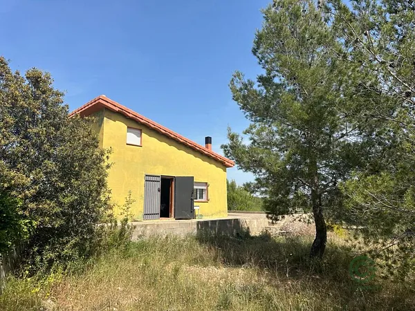 Spot image