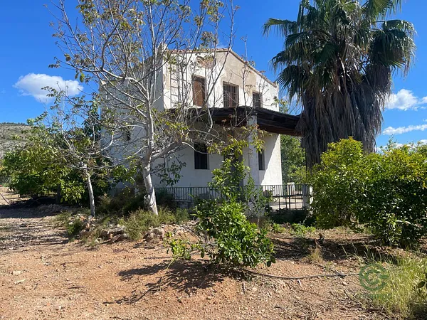 Finca agrícola de 1,5465 ha en venta en Castellon de la plana, Castellon