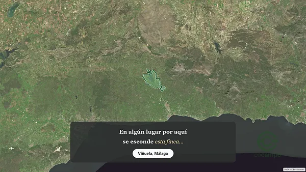 Spot image