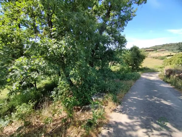 Spot image
