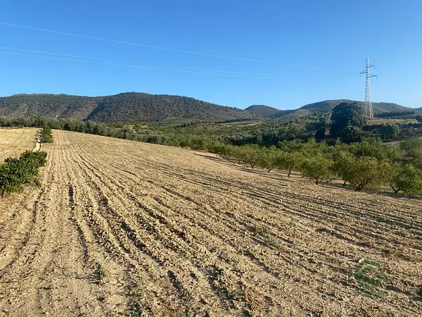 Finca agrícola de 2 ha en venta en Dilar, Granada