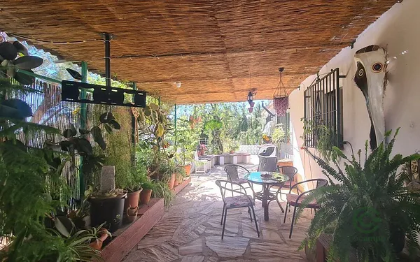 Spot image