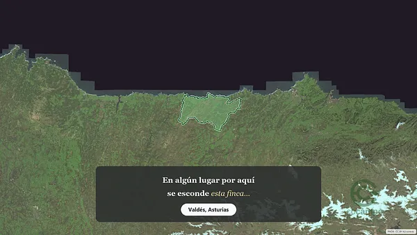 Spot image