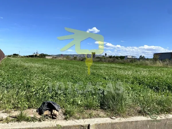 Spot image