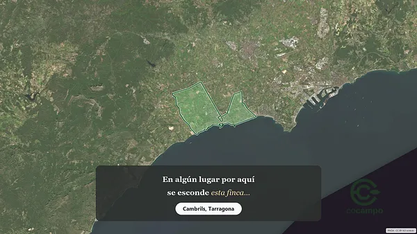 Spot image