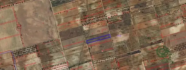 Spot image