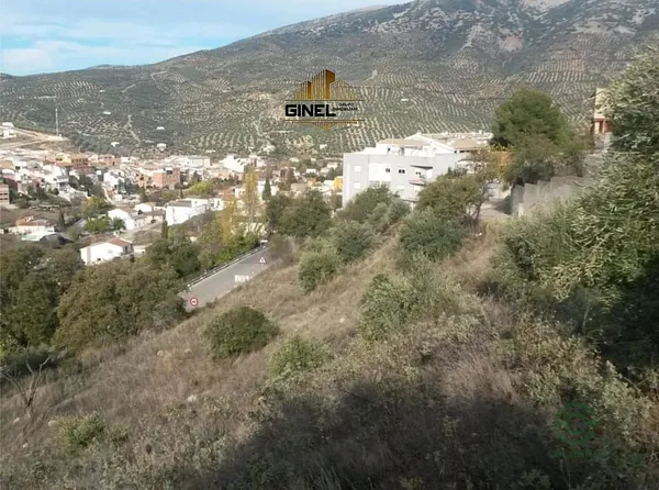 Spot image