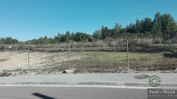 Spot image