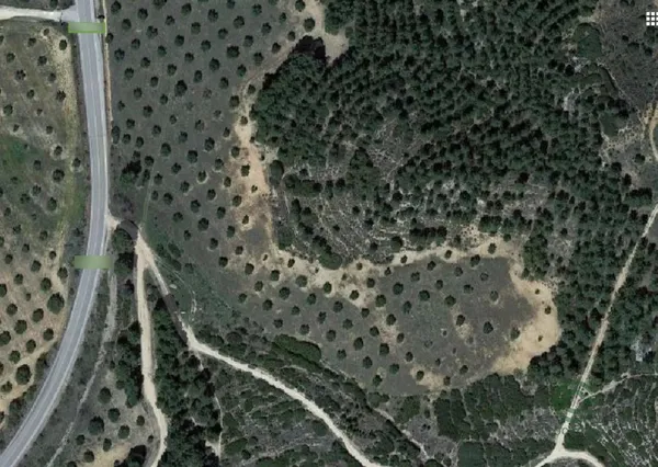 Spot image