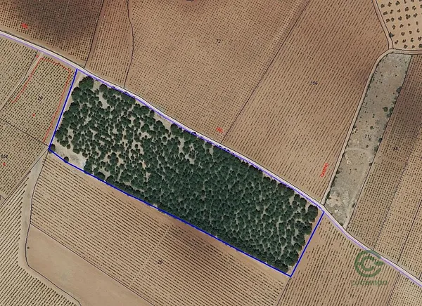 Spot image