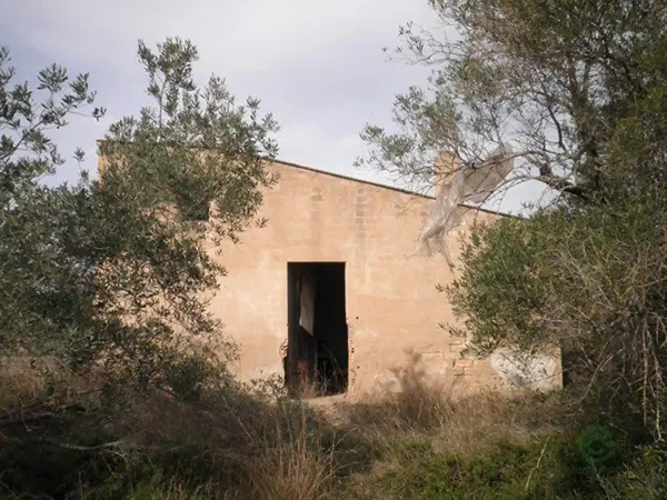 Spot image