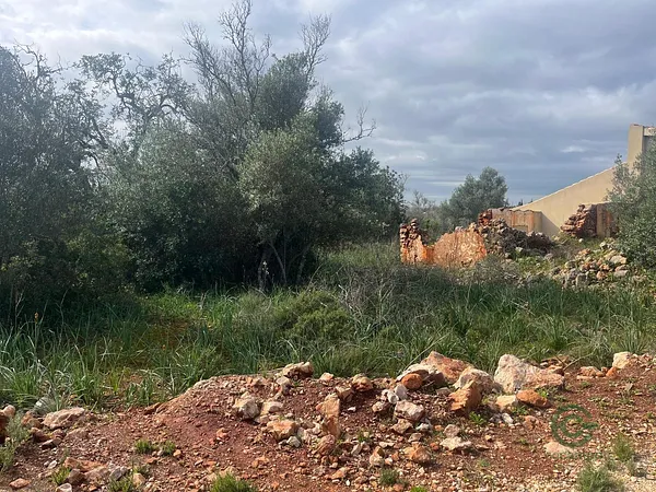 Spot image