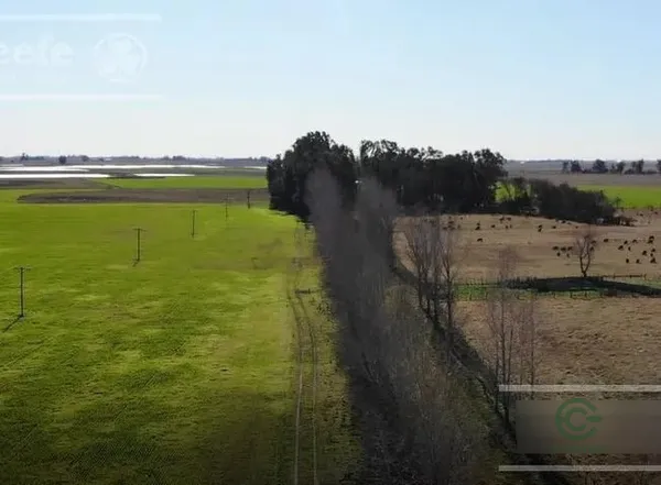 Finca rústica de 167 ha en venta en Buenos aires