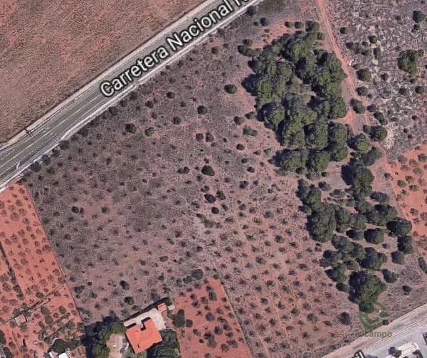 Spot image