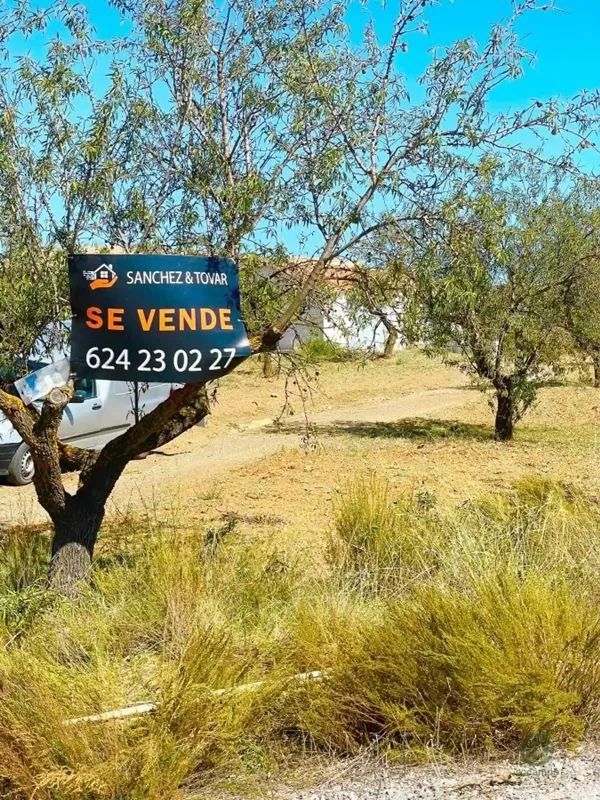 Spot image
