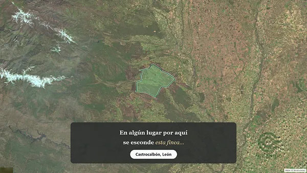 Spot image