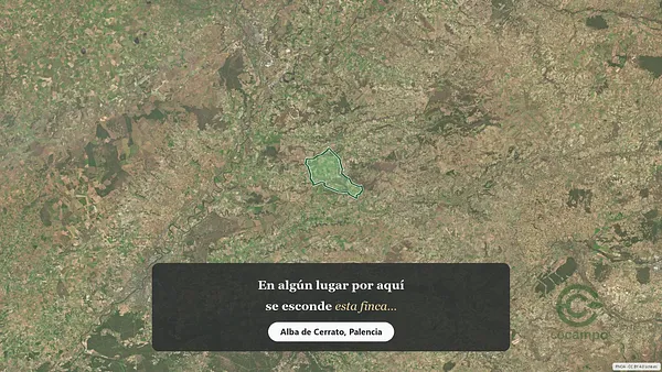 Spot image