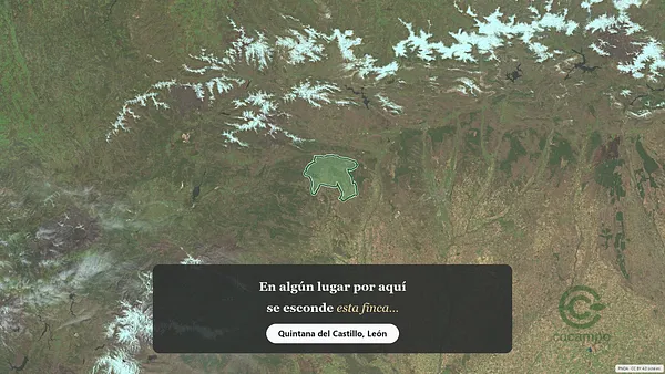 Spot image