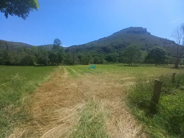 Spot image