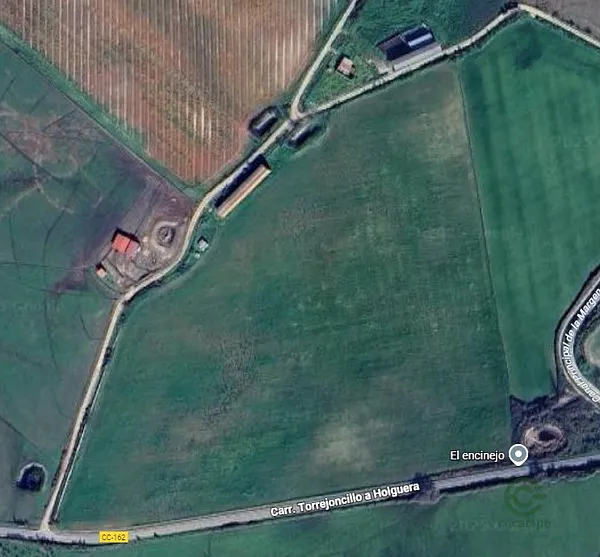Spot image