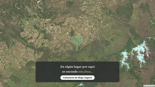 Spot image